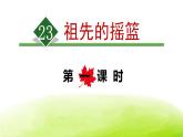 祖先的摇篮PPT课件8