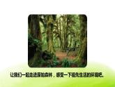 祖先的摇篮PPT课件8