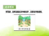 祖先的摇篮PPT课件8