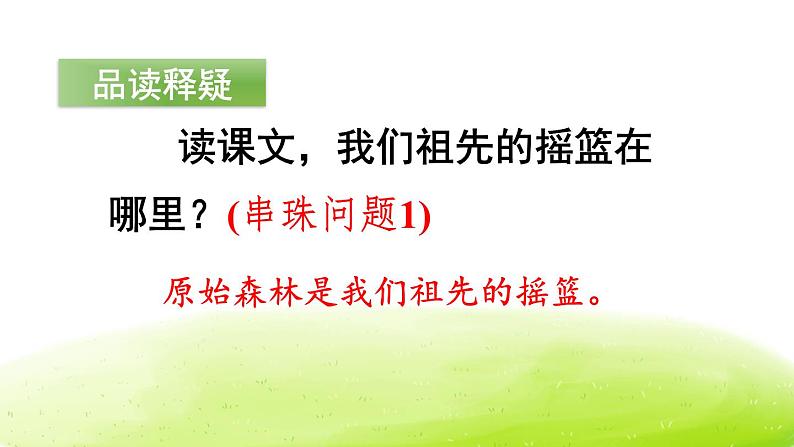 祖先的摇篮PPT课件7第3页