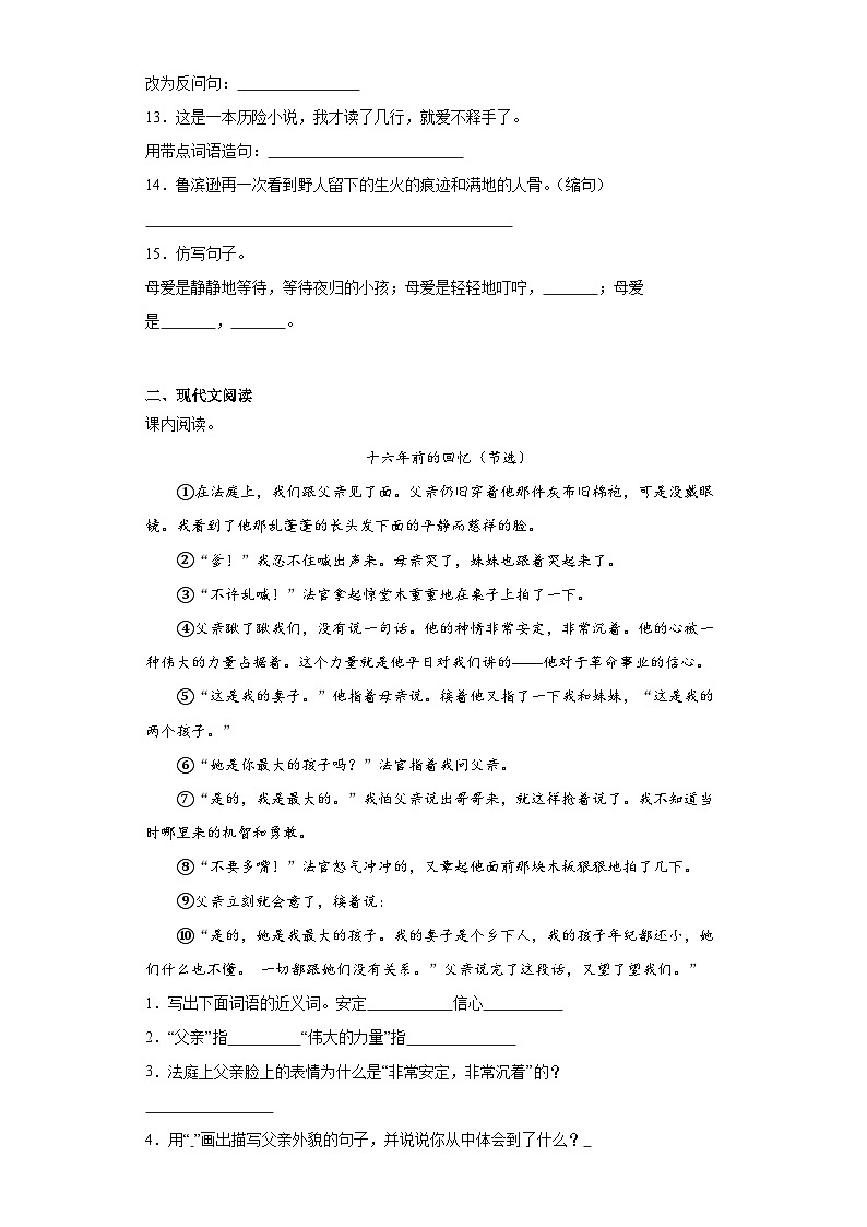 期中核心考点检测卷（二）语文六年级下册统编版03