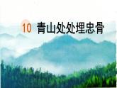 10 青山处处埋忠骨 课件 小学语文人教部编版五年级下册