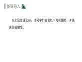 统编版语文四年级下册17《记金华的双龙洞》(课件)