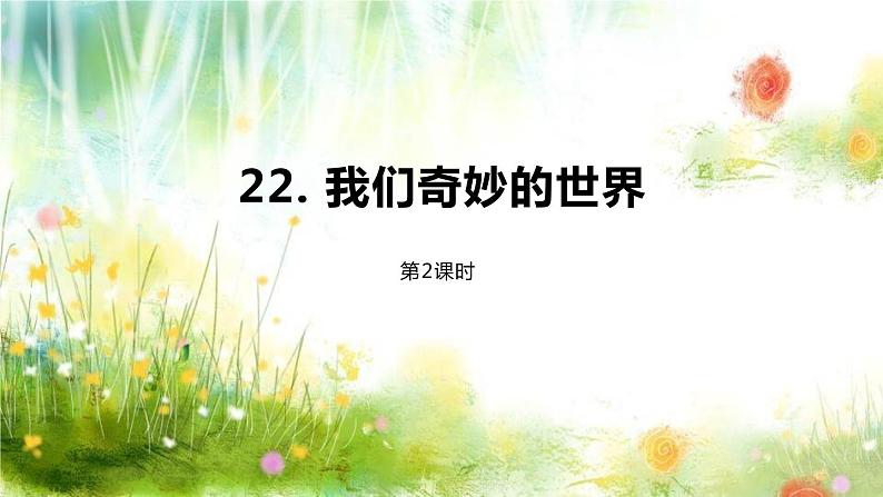 我们奇妙的世界PPT课件5第1页