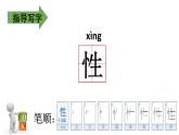 慢性子裁缝和急性子顾客PPT课件4
