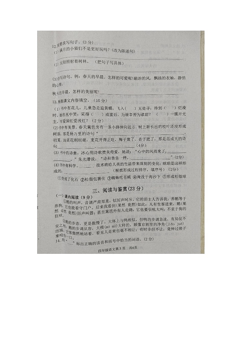 山东省菏泽市郓城县2023-2024学年四年级下学期4月期中语文试题03