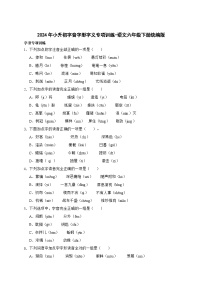 统编版语文六年级下册2024年小升初字音字形字义专项训练（含答案）