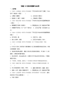 专题10 古诗词理解与运用-2023-2024学年小升初语文备考真题分类汇编（统编版）