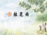 3 桂花雨（课件）2023-2024学年统编版语文五年级上册