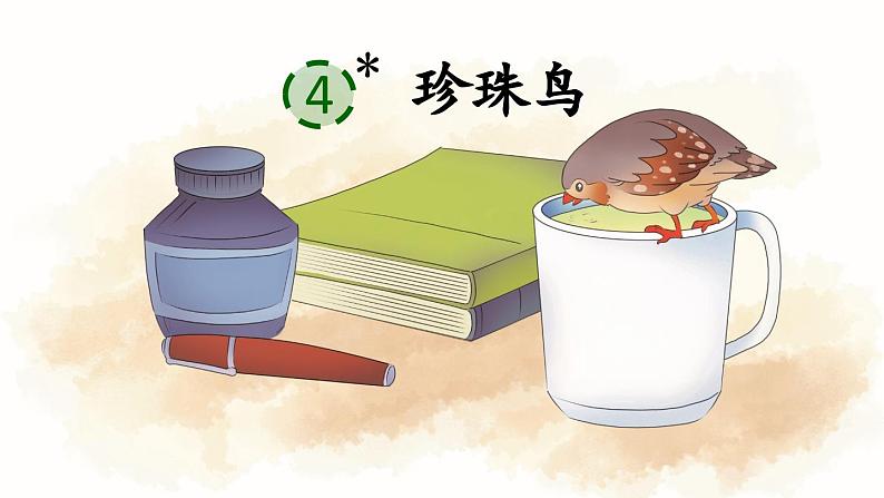 4 珍珠鸟（课件）2023-2024学年统编版语文五年级上册03