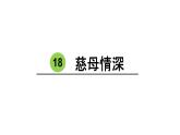 18《慈母情深》课件-2023-2024学年五年级上册语文统编版