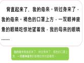 18《慈母情深》课件-2023-2024学年五年级上册语文统编版