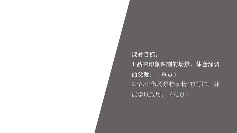 19《父爱之舟》课件-2023-2024学年语文五年级上册统编版第2页