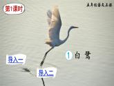 【核心素养】部编版小学语文五上1.白鹭+课件+教案（含教学反思）