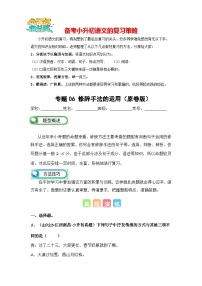 专题06 修辞手法的运用-备考2024学年小升初语文真题知识点汇编 （全国版）