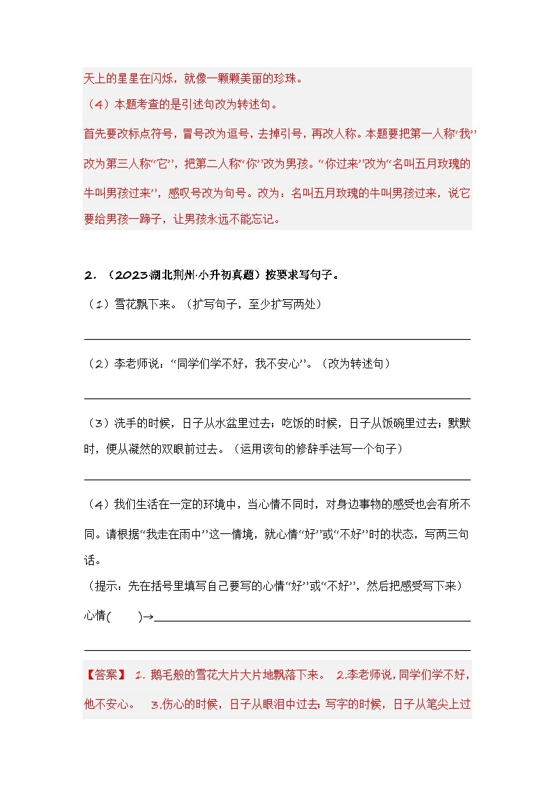 专题10 按要求改写句子-备考2024学年小升初语文真题知识点汇编 （全国版）03