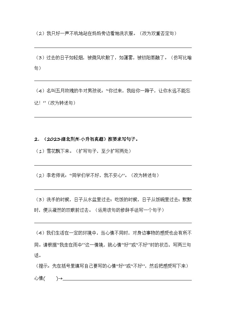 专题10 按要求改写句子-备考2024学年小升初语文真题知识点汇编 （全国版）02