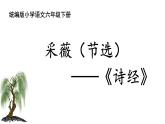 采薇（节选） 课件