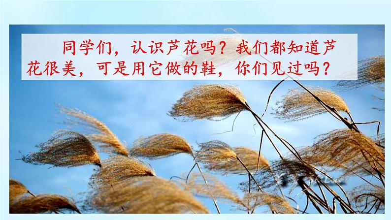 芦花鞋PPT课件5第2页