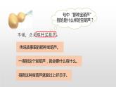 宝葫芦的秘密PPT课件2