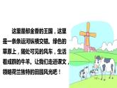 牧场之国PPT课件5