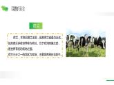 牧场之国PPT课件3