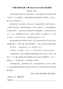 小学语文董存瑞舍身炸暗堡课后测评