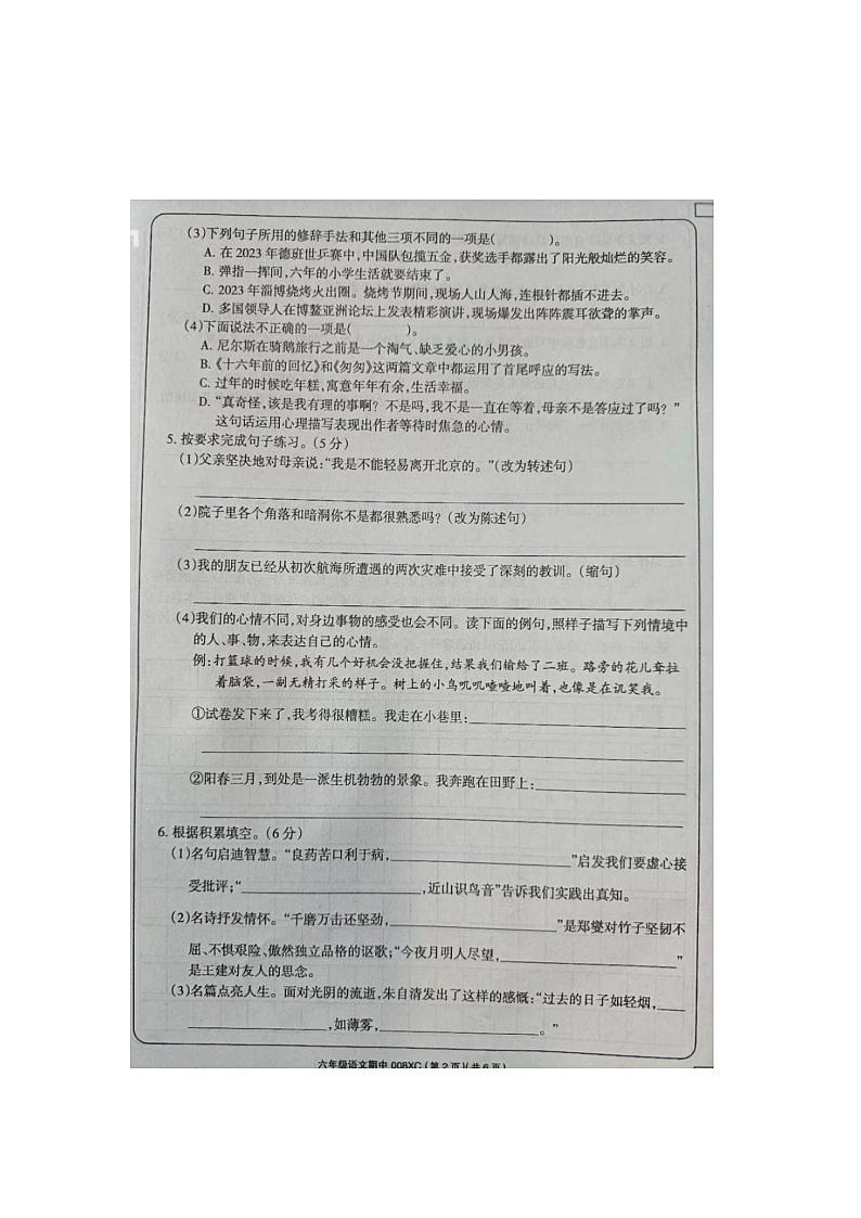 河南省周口市项城市2023-2024学年六年级下学期4月期中语文试题02