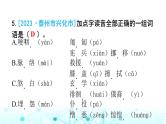 小升初语文总复习作业1专题一汉字（字音）课件