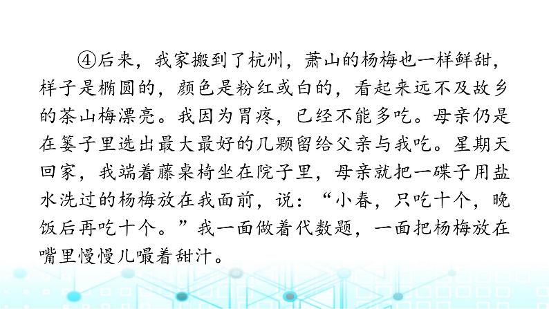 小升初语文总复习作业18专题八文学类文本阅读（一）课件05