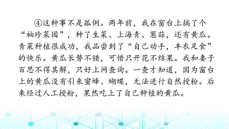 小升初语文总复习作业22专题一0一议论性文本阅读课件第4页