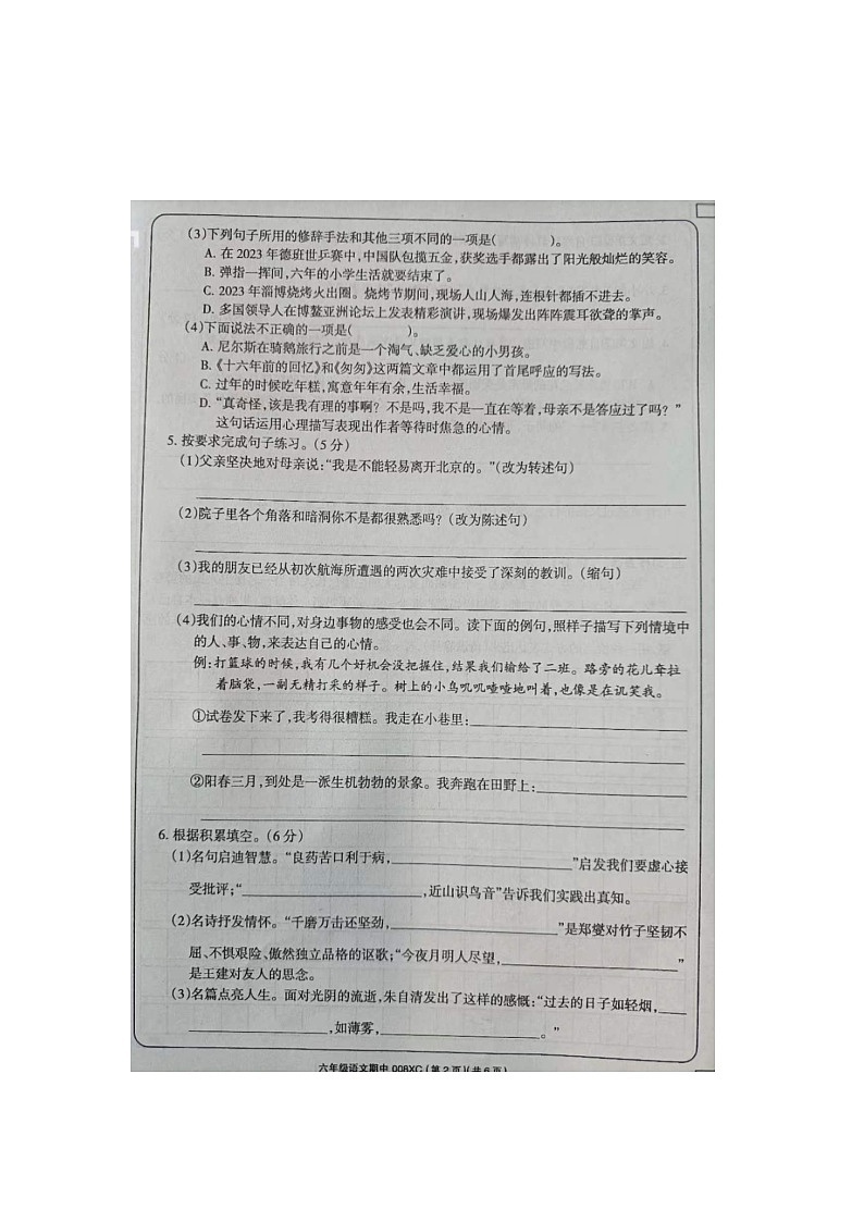 河南省周口市项城市2023-2024学年六年级下学期4月期中语文试题第2页