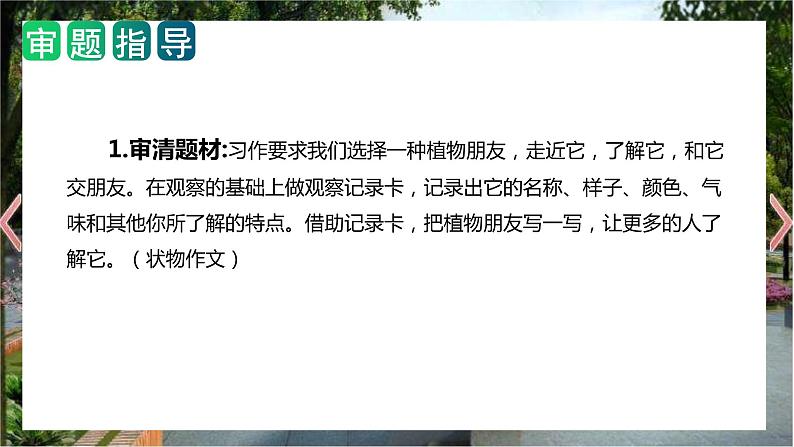 第一单元 习作：我的植物朋友（教学课件）2023-2024学年三年级语文下册单元作文能力提升（统编版）03