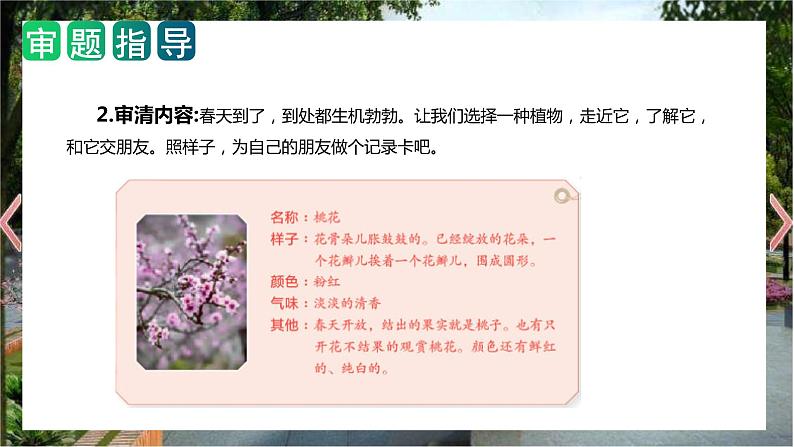 第一单元 习作：我的植物朋友（教学课件）2023-2024学年三年级语文下册单元作文能力提升（统编版）04