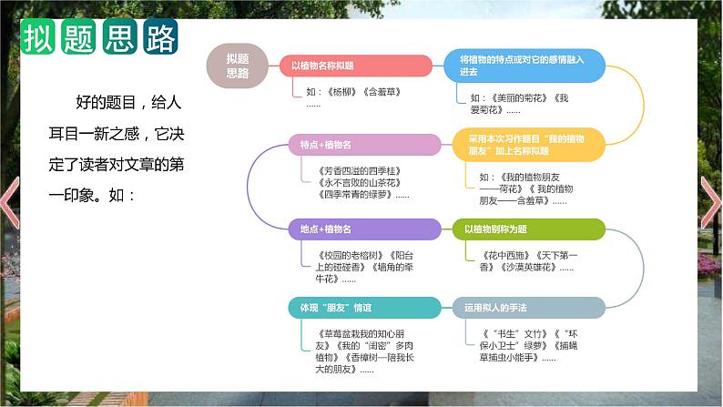 第一单元 习作：我的植物朋友（教学课件）2023-2024学年三年级语文下册单元作文能力提升（统编版）07