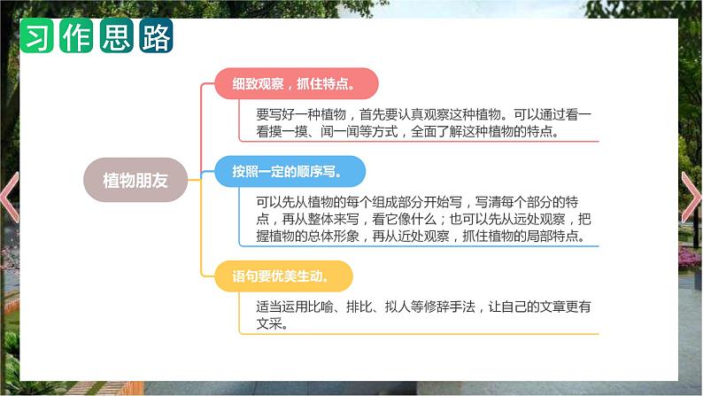 第一单元 习作：我的植物朋友（教学课件）2023-2024学年三年级语文下册单元作文能力提升（统编版）08