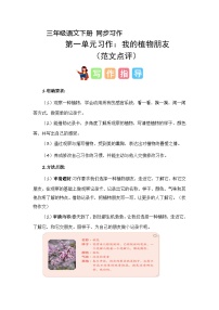 小学语文人教部编版三年级下册第一单元习作：我的植物朋友学案