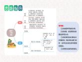 第四单元 习作：我做了一项小实验（课件）2023-2024学年三年级语文下册单元作文能力提升（统编版）
