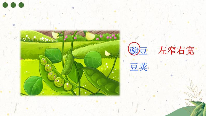 【情景教学】部编版小学语文4上 5《一个豆荚里的的五粒豆》课件第4页