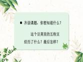 【情景教学】部编版小学语文4上 5《一个豆荚里的五粒豆》课件+教案（含教学反思）