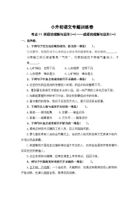 考点11 词语的理解与运用(一)：成语的理解与运用(一)-2024年小升初语文专题训练（统编版）