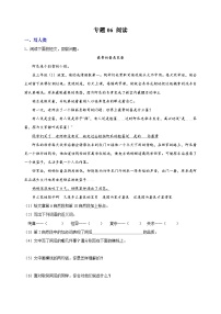 专题06 阅读-小升初语文复习专题冲刺训练(含答案)