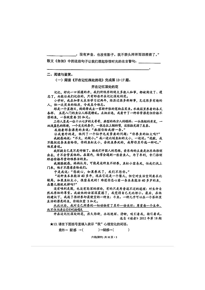 福建省福州市罗源县2023-2024学年六年级下学期期中语文试卷第3页