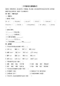 2023-2024学年江苏省盐城市盐都区盐城市二小教育集团部编版六年级下册期中考试语文试卷（原卷版+解析版）