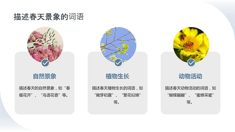 2024年小学《词语运用和句子结构之关于春天的词语：如春回大地、万物复苏、桃红柳绿等。》专项复习，统编版语文六年级下册课件PPT第4页