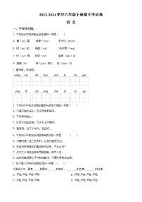 2023-2024学年河南省周口市郸城县几校联考部编版六年级下册期中考试语文试卷（原卷版+解析版）