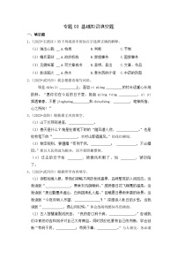 专题03+基础知识填空题-2023-2024学年小升初语文备考真题分类汇编（湖南专版）