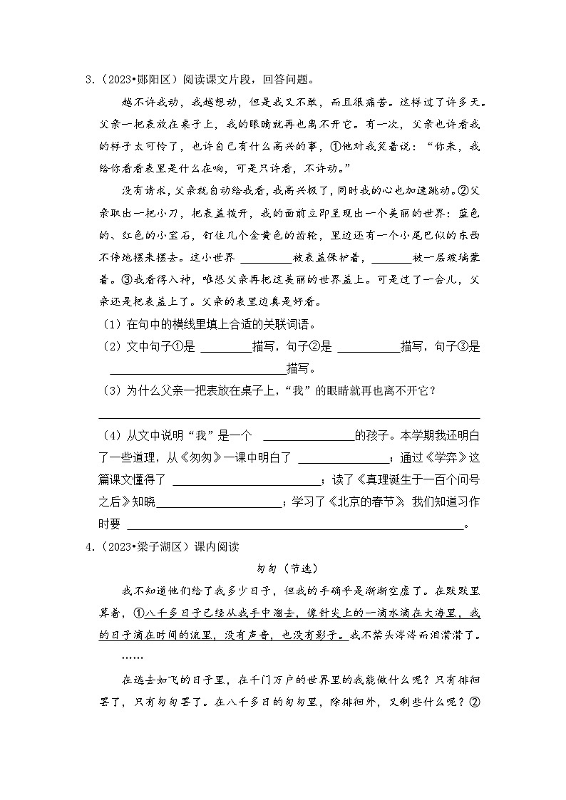 专题08+课内阅读-2023-2024学年小升初语文备考真题分类汇编（湖北专版）03