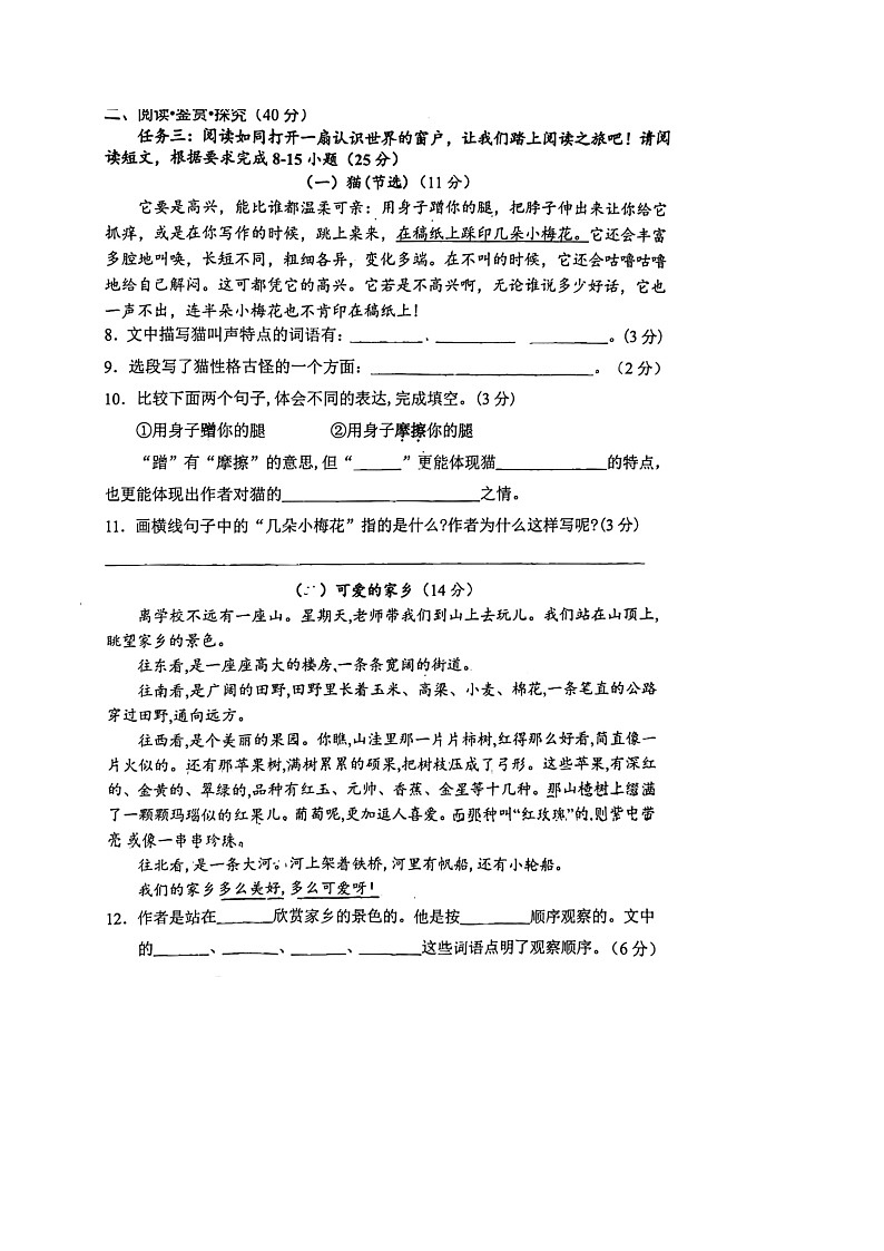 广西壮族自治区柳州市三江侗族自治县2023-2024学年四年级下学期4月期中语文试题第3页