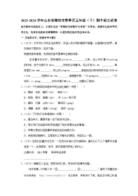 山东省潍坊市寒亭区2023-2024学年五年级下学期期中语文试卷